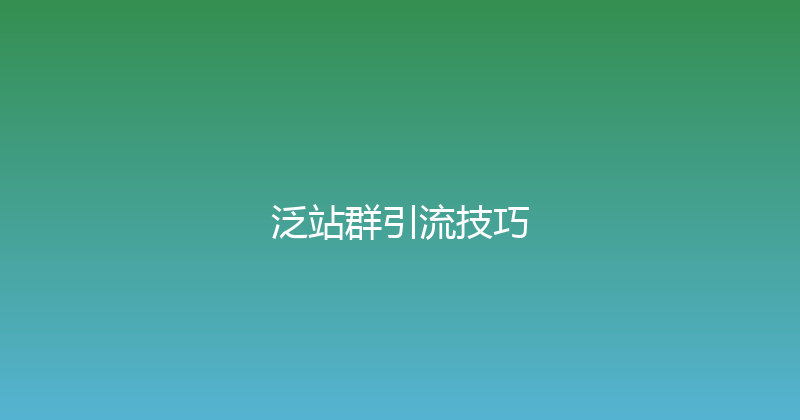 泛站群引流技巧 封面图
