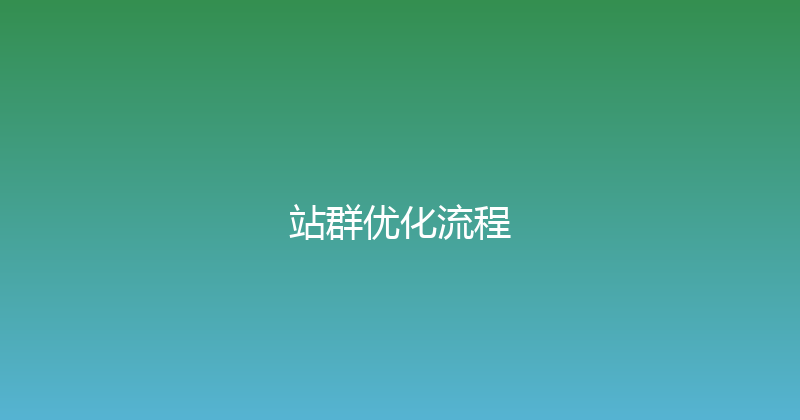 站群优化流程 封面图