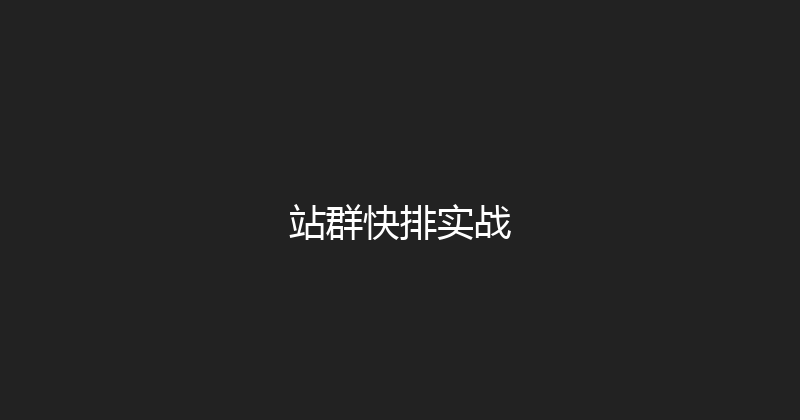 站群快排实战 封面图